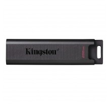 MEMORIA USB KINGSTON DATATRAVELER DTMAX 256G·